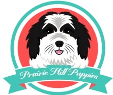 Prairie Hill Puppies logo