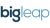 Big Leap logo