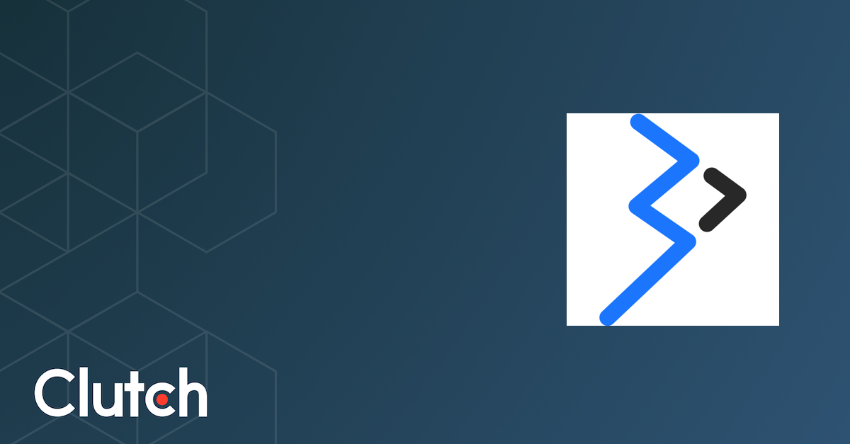 Brainvire Infotech Inc logo