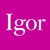Igor Naming Agency logo